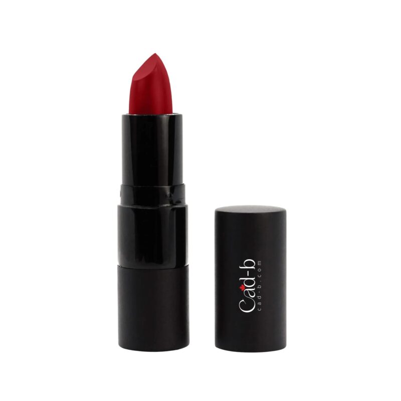 Hydrating Creamy Lipstick | Vitamin E | Thrill P016