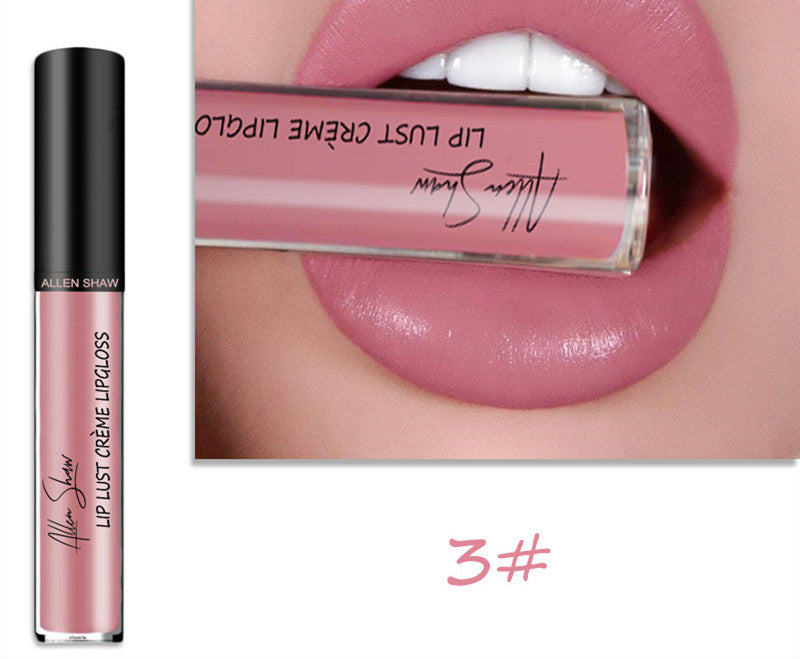 Creamy lip glaze silky texture lip gloss lipstick shade 4