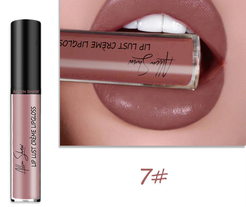 Creamy lip glaze silky texture lip gloss lipstick shade 9