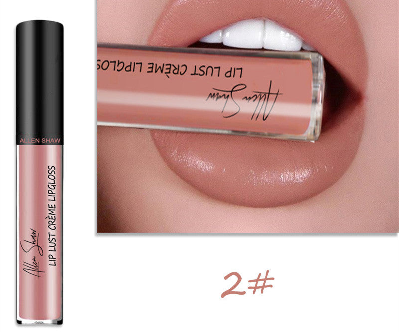 Creamy lip glaze silky texture lip gloss lipstick all shades flat lay